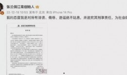 芳姐说真话爆料视频大全,视频爆料大合集深度解析