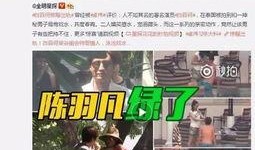 龙鑫佳苑爆料事件视频播放,事件真相大揭秘