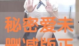 秘密之爱在线观看完整版在线播放,在线观看完整版，揭秘禁忌情感之旅