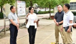 爆料拍摄趣事视频教程完整版