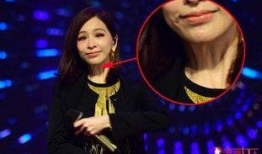 娱乐爆料王心凌是谁唱的,王心凌经典歌曲揭秘，是谁演绎了这首动人心弦之作？