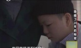 20的秘密在线观看,跟随根据20的秘密探寻历史风云
