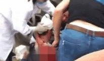热心爆料人士是谁啊视频,是谁在背后推动真相揭晓？