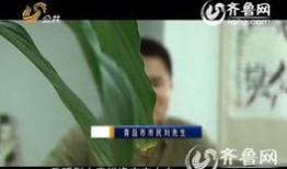 刘先生最新爆料,揭秘娱乐圈最新劲爆内幕
