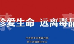 恩平电视台新闻爆料,重大事件引发社会关注